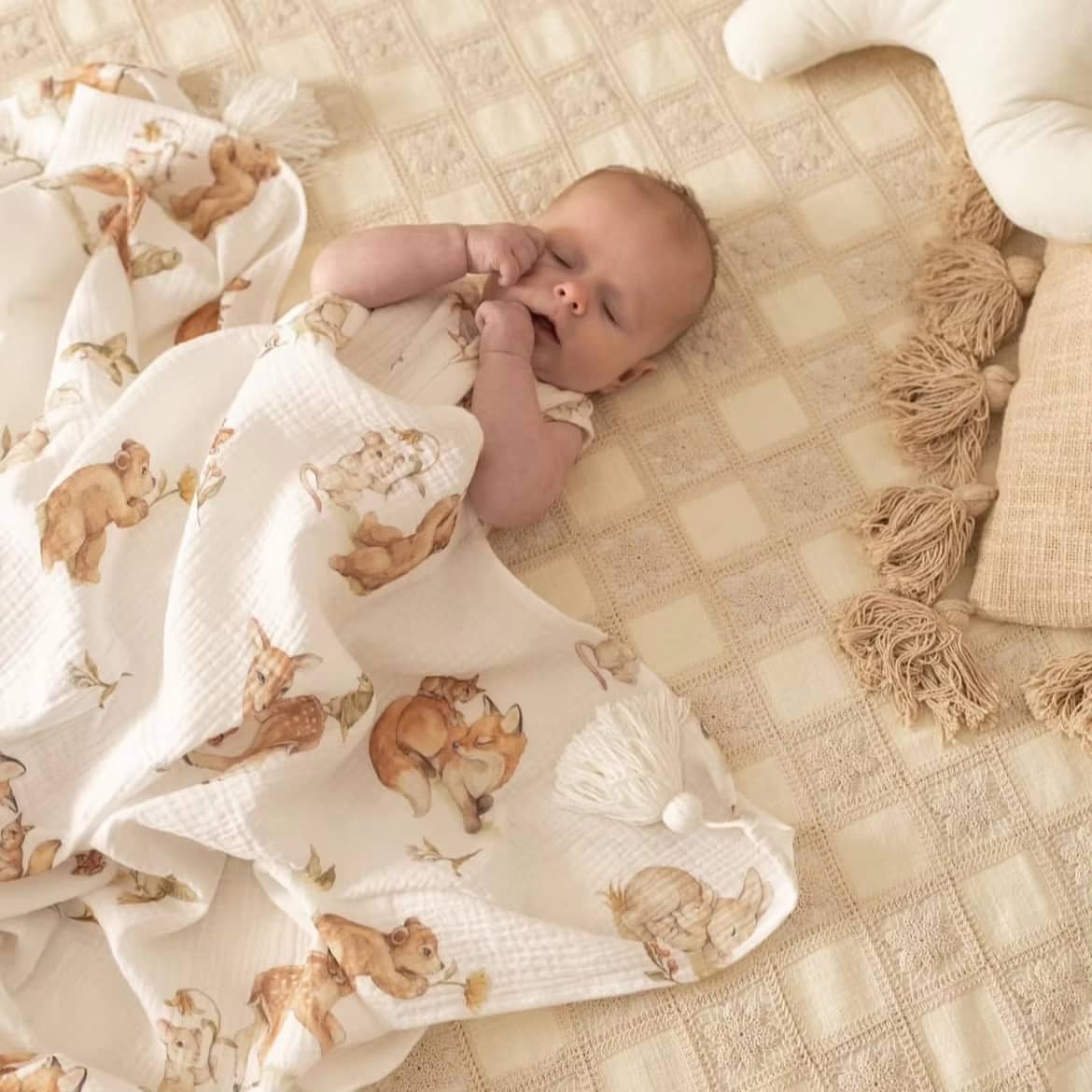 freecompress-深色 (3).jpg